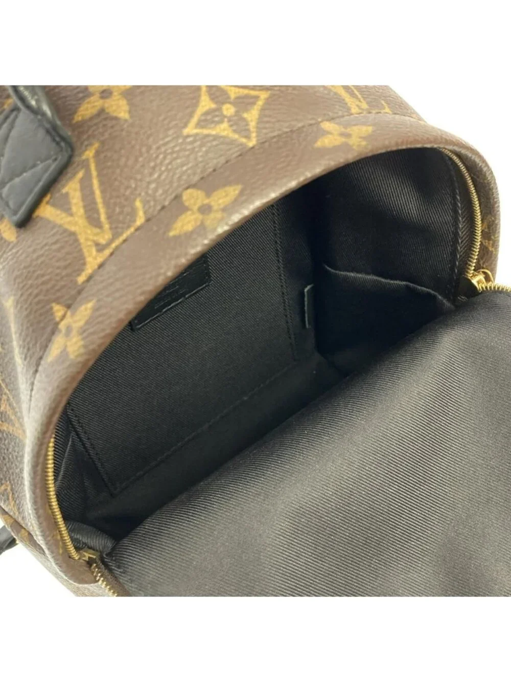 Louis Vuitton Monogram Palm Spring Backpack Mini - Picture 8 of 9